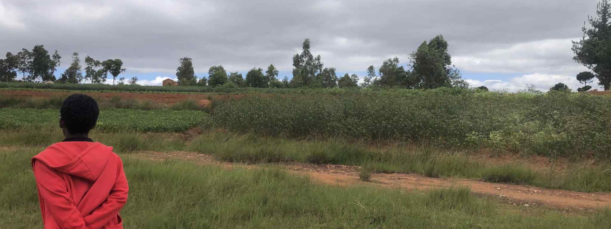 Our Madagascar Appeal*Find Out More about our link parish*Read Now